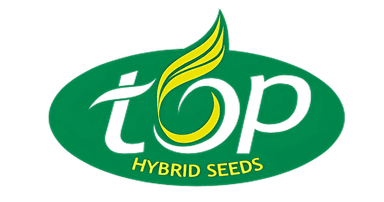 Top Hybrid Seeds